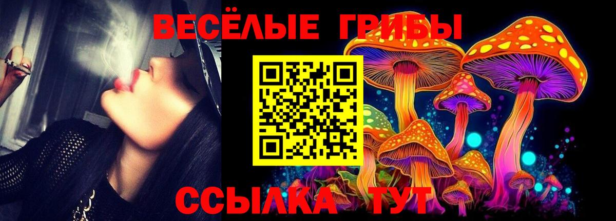 Карасук  Псилоцибиновые грибы Magic Shrooms  Вход с VPN 
